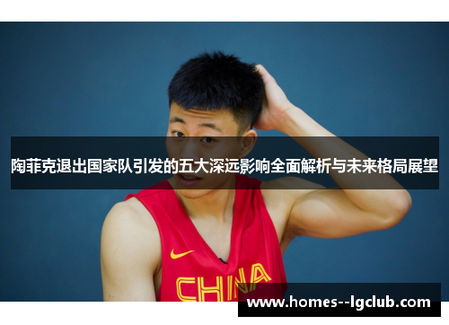 陶菲克退出国家队引发的五大深远影响全面解析与未来格局展望