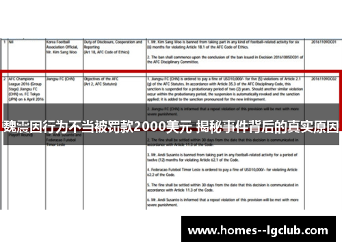 魏震因行为不当被罚款2000美元 揭秘事件背后的真实原因